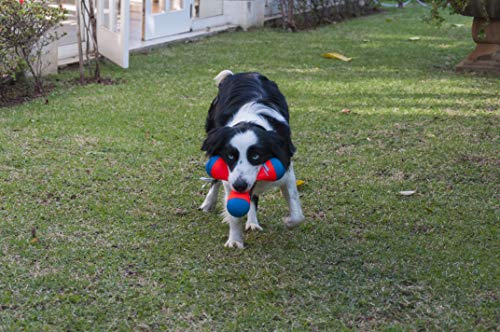 Chuckit! 52062 Tri-Bumper Floating and Bouncing Dog Toy, M