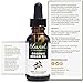 Ebanel 1oz/30ml Organic Moroccan Argan Oil, 100% Pure Natural Cold Pressed Hair Oil and Face Skin Moisturizer for Dry Frizzy Hair, Anti-Aging, Skin Hydration Non-Oily Treatment for Men & Women