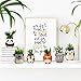 Animal Ceramic Succulent Planters Set of 6 | 2.5 Inch Small Cactus Pots with Drainage Hole Cute Gift Penguin Koala Panda Tiger Elephant Kangaroo (Safari Animals)