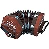 Hohner D40 Concertina mit gepolsterter Gigbag