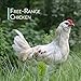Chicken Bone Broth Powder Organic Free Range 5LB Pure Protein Non-Gelling Type