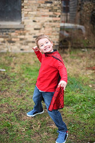 Great Pretenders Reversible Spider/Bat Cape (Small)