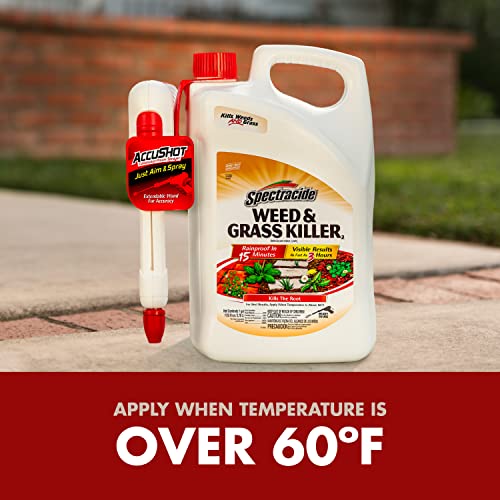 1 GAL READY-TO-USE GRASS AND WEED KILLER