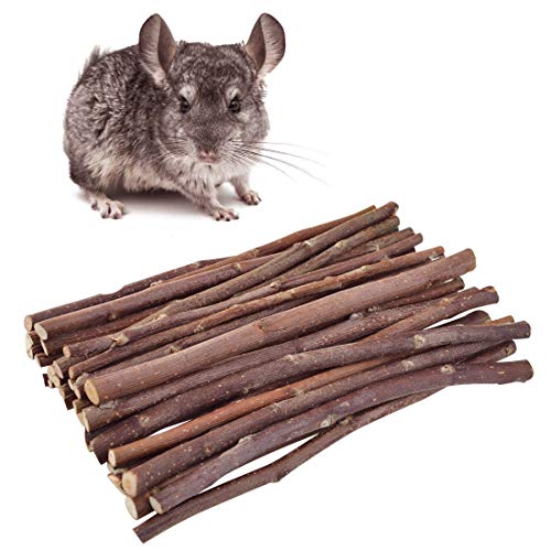 4 Wobe+Chinchilla+Hamster+Dumbells+Exercise