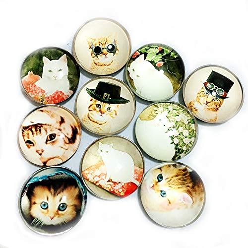 Fridge Magnets,Koolemon 10PCS Crystal Glass Refrigerator Magnets Funny Magnets for Refrigerator Office Cabinets Whiteboard Photo,Cat Decorative Magnets