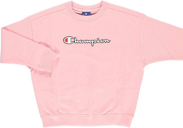 baby champion sweater