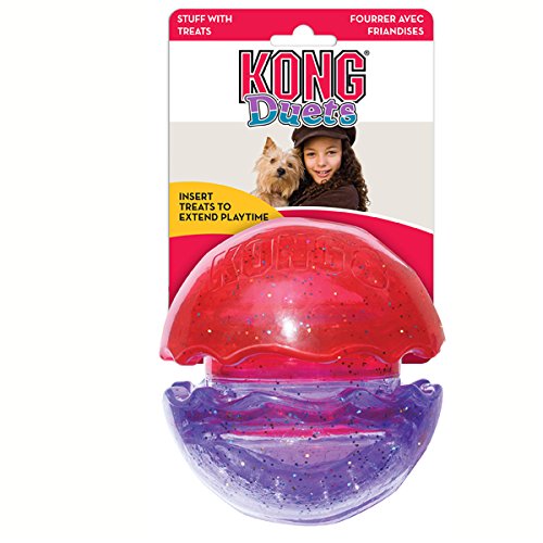 kong kibble ball