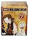 Funko The Walking Dead Blind Box Mystery Mini Figure