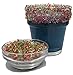 Snowy River Holiday Cocktail Sugar - Kosher All Natural Festive Cocktail Rimmer and Coffee Rimmer (Holiday, 4oz Bag)