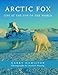 Arctic Fox: Life at the Top of the World