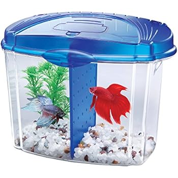 Aqueon Betta Fish Tank Starter Kit, Half Gallon, Blue