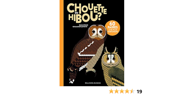 Chouette Ou Hibou Albums Documentaires French Edition Strack Emma Plantevin Guillaume Amazon Com Books Chouette Ou Hibou Albums Documentaires French Edition Strack Emma Plantevin Guillaume Amazon Com Books