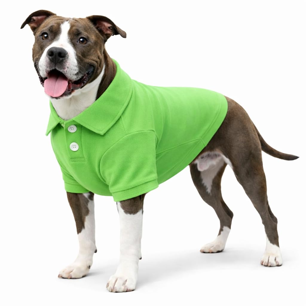lovelonglong Basic Dog Polo Shirts Premium Cotton, Polo T-Shirts for Large Medium Small Dogs with a Two-button Collar Blank Color Green XL
