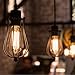 SHINE HAI Vintage Edison Bulb 60W, Antique Style ST64 Squirrel Cage Filament, 300 Lumens, Dimmable Classic Design, E26 Medium Base 2300K, Pack of 6