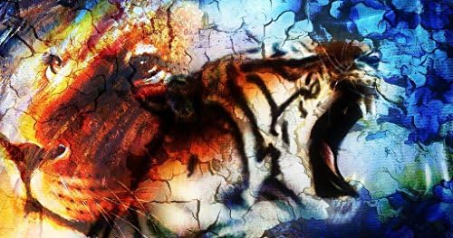 HYAIT Abstract Colorful Lion &amp; Tiger Pattern Polycarbonate (PC) Ultra Slim Hard Case For 11.6-inch Apple MacBook Air A1370 &amp; A1465