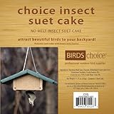 Birds Choice Insect Suet Cake 11.75 oz.