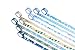 24 Rolls Decorative Washi Masking Tape Set,Festival Series Collection for Handcraft, Gift Wrapping, Planner and Bullet Journal