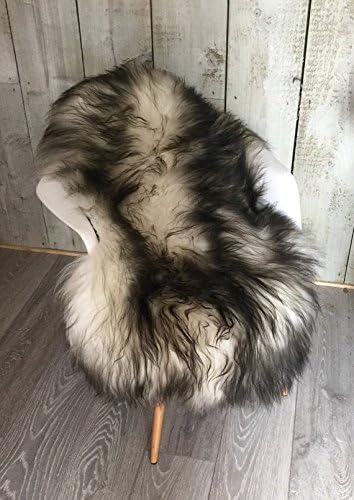 Stunning Ivory Icelandic Sheepskin Rug With Dark Tips Supersoft