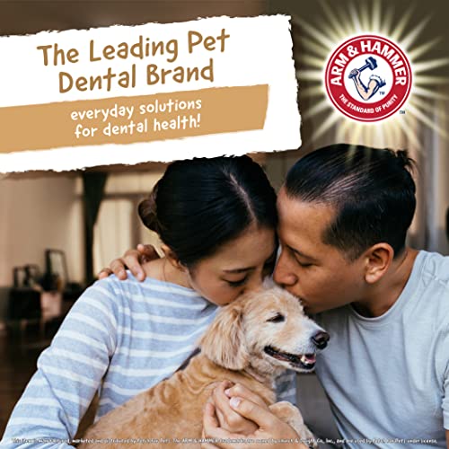 ARM & HAMMER FOR PETS RAWHIDE CHIPS FOR DOGS REAL DOG RAWHIDE CHEWS WITH CHICKEN COATING AND ARM AND HAMMER BAKING SODA ENHANCED FORMULA FOR FRESH DOG BREATH, DOG TREAT BAG SIZE LARGE (PACK OF 1)