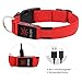 Illumifun LED Dog Collar, USB Rechargeable Light Up Dog Collar, Adjustable Nylon Webbing Glowing Safety Pet Collar Make Your Dogs Safe& Seen in The Dark(Red, Large)thumb 4