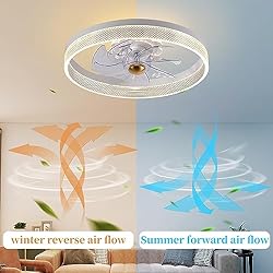 Fszdorj 20‘’ Ceiling Fan with Light, 2024