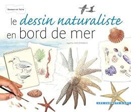 Le  dessin naturaliste en bord de mer