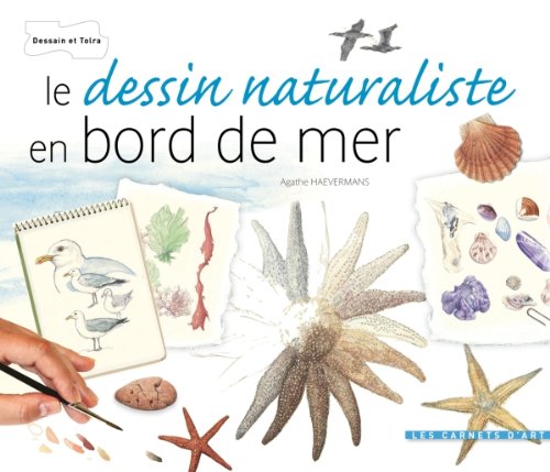 Le  dessin naturaliste en bord de mer