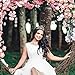 FRCOLOR 2Pcs Silver Crystal Tiara Crown Elegant Wedding Princess Crown with combs for Women Girls Bridal Exquisite Headband