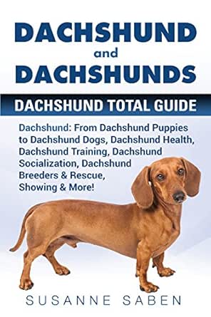 buying a dachshund