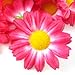 (100) Silk Hot Pink Gerbera Daisy Flower Heads , Gerber Daisies - 1.75