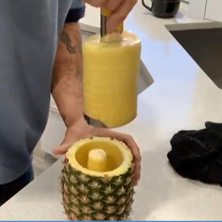 6 SameTech+Kitchen+Stainless+Pineapple+Peeler
