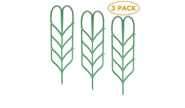 TADAE Paquete de 3 Enrejado de jardín Plástico Planta de Interior ...