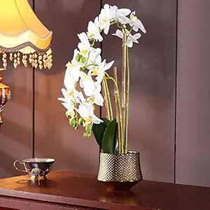 Large Artificial Orchid Phalaenopsis Arrangement Flower Bonsai with Golden Vase Table Centerpiece(White-3)