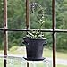 Window Garden Rustic Charm 6” Planter - Fine Home Décor Ceramic Indoor Decorative Pot. for or Herbs, Flowers, Succulents. Beautifully Packaged, Great Gift for Mom, Office, Holiday.
