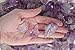 Fantasia Materials: 1 lb Amethyst Rough Stones from Brazil - Broken Amethyst Points and Pieces