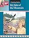 A Teaching Guide to My Side of the Mountain (Discovering Literature Series)