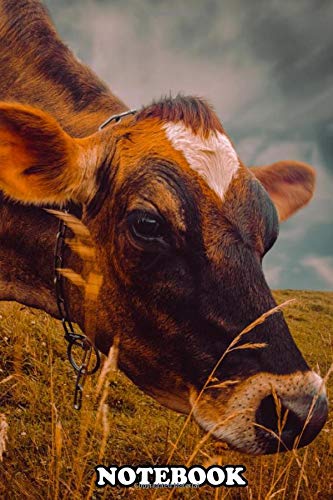 Notebook: Eating Fresh Grass The Dairy Cow Is Very Happy Today S , Journal for Writing, College Ruled Size 6" x 9", 110 Pages Paperback – December 2, 2019
