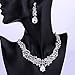 Wedding Bridal Teardrop Crystal Jewelry Sets for Women (1 Set Earrings,1 PCS Necklace)