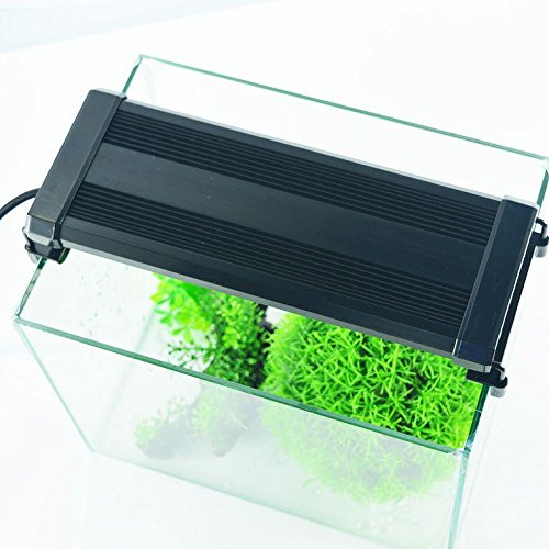 Cara LED Aquarium Light, Fish Tank Light with Extendable Brackets, White and Blue LEDs (11\