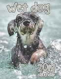 Wet Dog 2019 Calendar by 