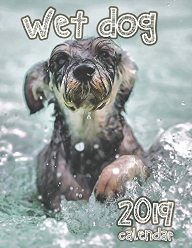 Wet Dog 2019 Calendar by Lotus Art Calendars