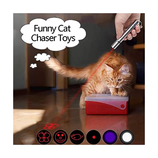SUOXU-Cat-ToysLed-Pointer-Cat-Toys-Cat-Chaser-Toys-7-in-1-Function-Cats-Tracker-USB-RechargeableCat-Interactive-Toys-Wand-Pet-Cat-Catch-Single-Interactive-Exercise-Cat-Training-Tool SUOXU Cat Toys,Led Pointer Cat Toys,Cat Chaser Toys -7 in 1 Function Cats Tracker -USB Rechargeable,Cat Interactive Toys…