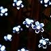 easyDecor Solar String Lights 50 LED 23ft 8 Modes Blossom Flower Garden Christmas lights for Outdoor Indoor Party Wedding Patio Holiday Decorations (Multi Color) (Cool White)