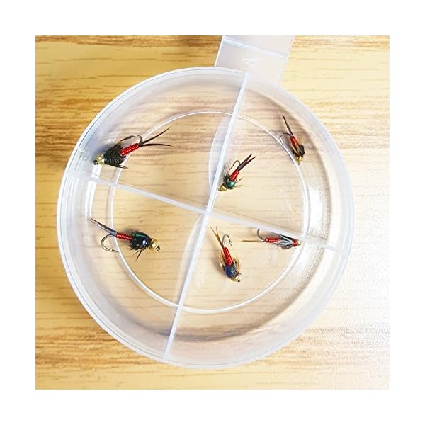 BH-Copper-John-Fly-Fishing-Nymph-Trout-Fly-Assortment-Choose-Your-Color-6-Flies