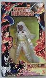 MARVEL UNIVERSE STORM 10