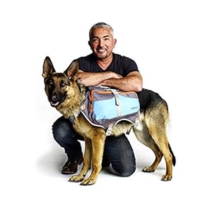 Cesar Millan Mochila para Perros (Grande)