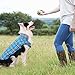 Kuoser Cozy Waterproof Windproof Reversible British Style Plaid Dog Vest Winter Coat Warm Dog Apparel for Cold Weather Dog Jacket for Small Medium Large Dogs with Furry Collar (XS - 3XL) Blue XXL