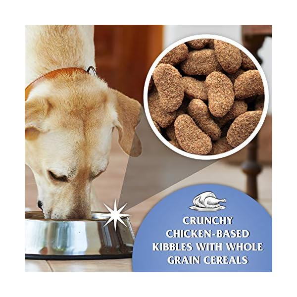Dr John Silver Dry Dog Food 15kg - Chicken with Vegetables - Complete Dog Biscuits 15kg - Senior and Adult Dog Food for…
