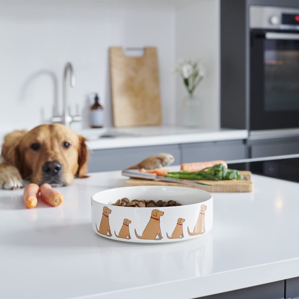 Fox Red Labrador Dog Bowl