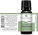 Plant Therapy USDA Certified Organic Wintergreen Essential Oil. 100% Pure, Undiluted, Therapeutic Grade. 10 ml (1/3 oz).